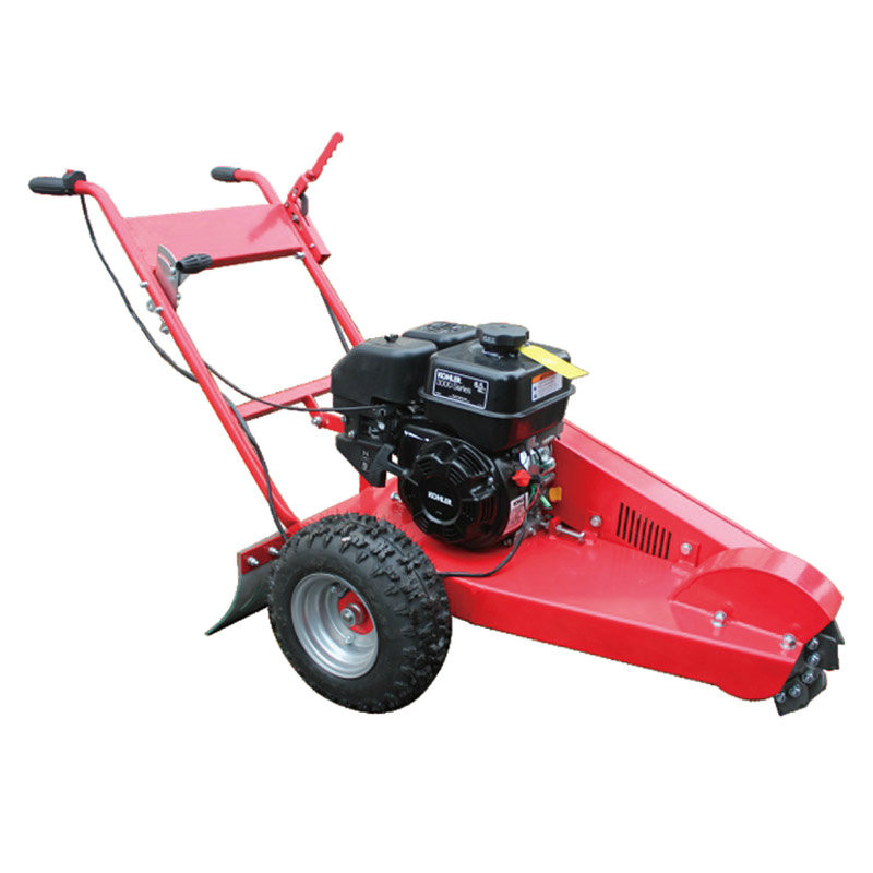স্টাম্প গ্রাইন্ডার 6.5HP SP48108